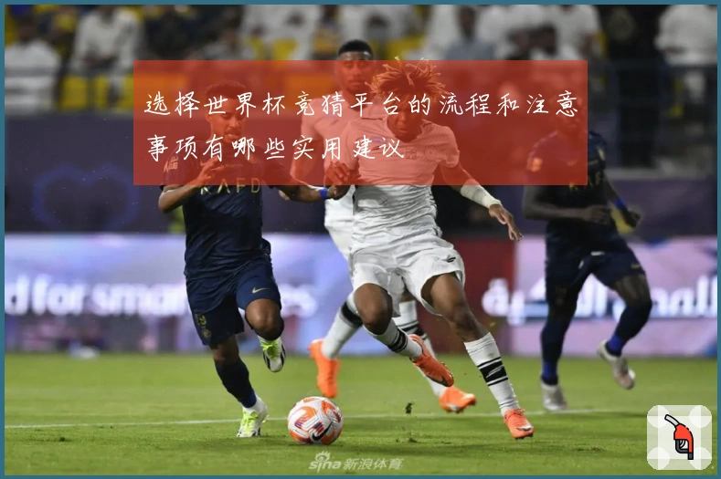 选择世界杯竞猜平台的流程和注意事项有哪些实用建议