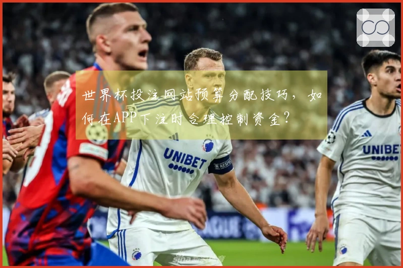 世界杯投注网站预算分配技巧，如何在APP下注时合理控制资金？