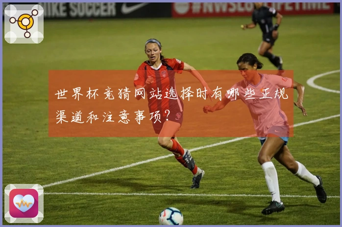 世界杯竞猜网站选择时有哪些正规渠道和注意事项？