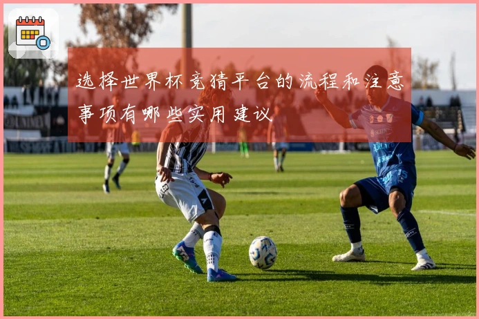 选择世界杯竞猜平台的流程和注意事项有哪些实用建议